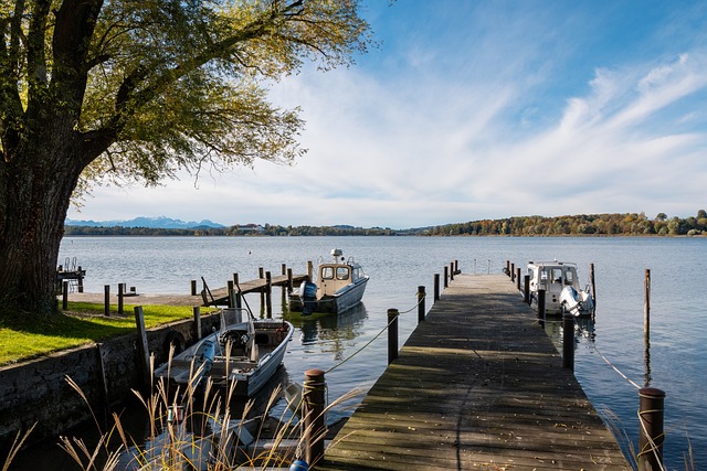 但随着安切 但随着安切