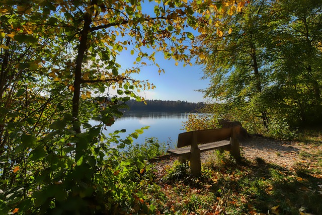 域的协同创 域的协同创