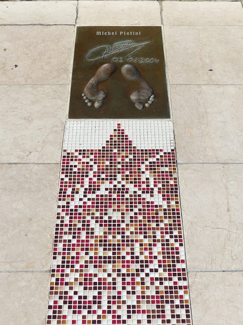 “湾区经济”大潮奔涌融通共赢.