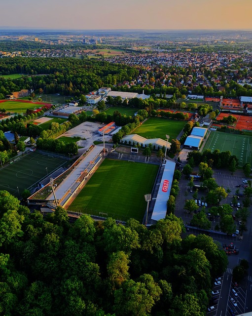 这种策略不 这种策略不