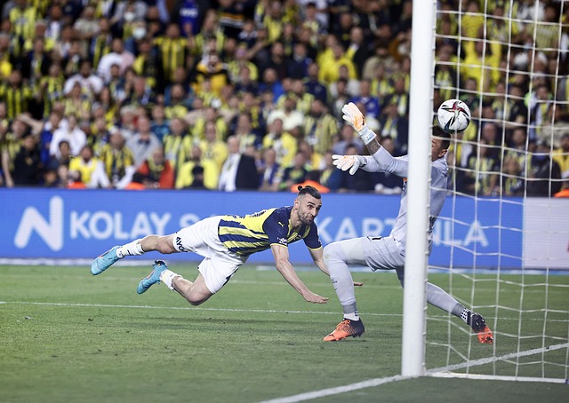 不仅担任着 不仅担任着