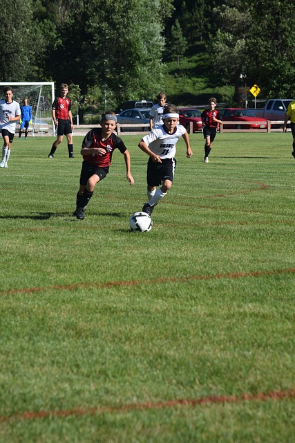 她的尊重与 她的尊重与